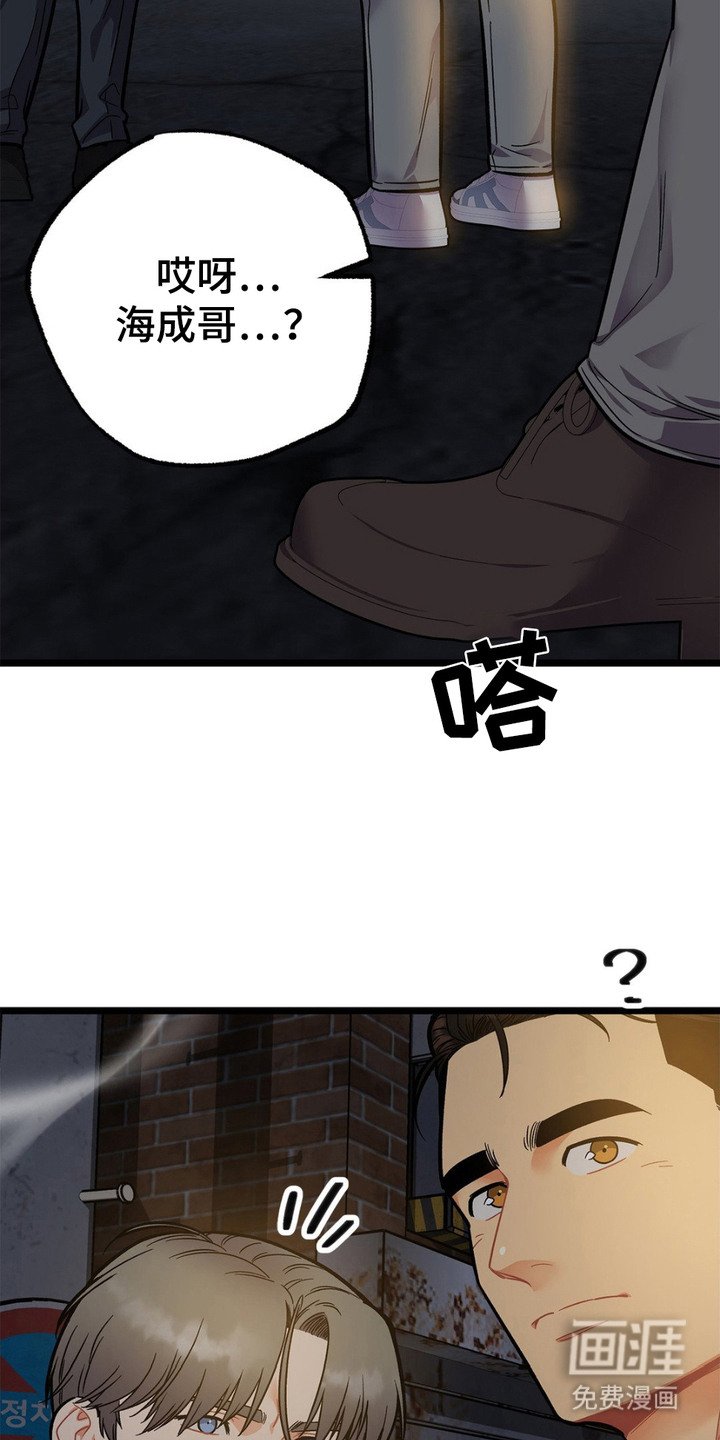 第13章：胡说八道