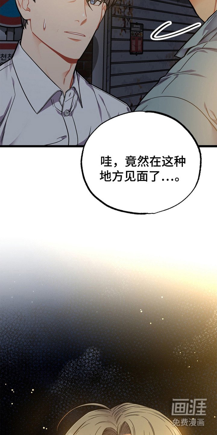 第13章：胡说八道