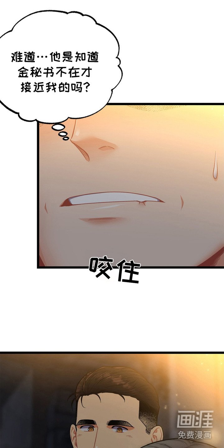 第13章：胡说八道