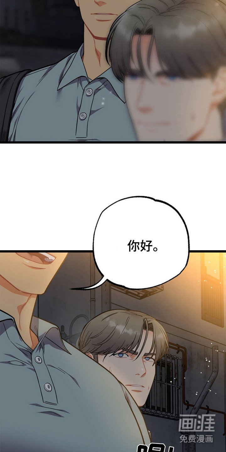 第13章：胡说八道