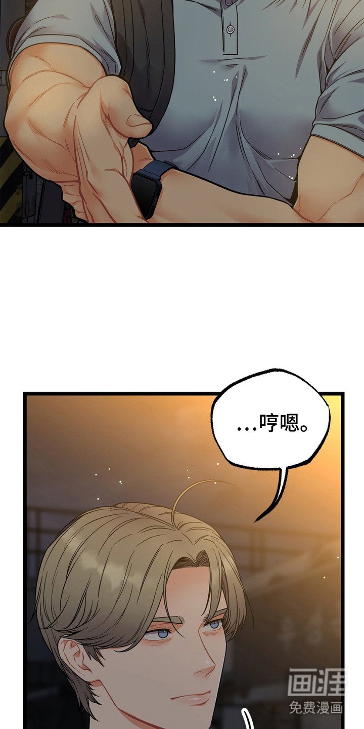 第13章：胡说八道