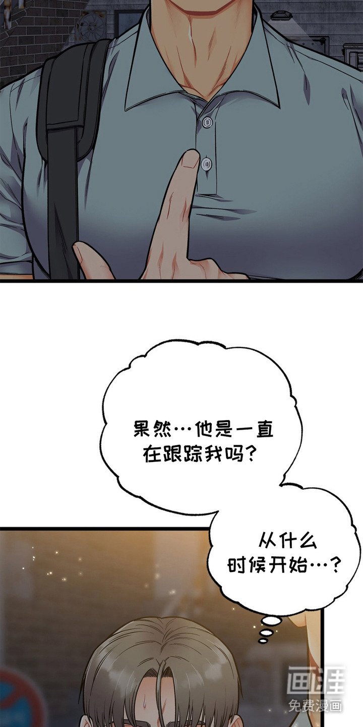 第13章：胡说八道