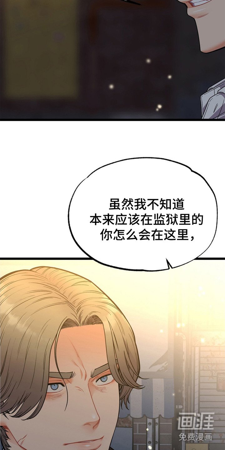 第13章：胡说八道