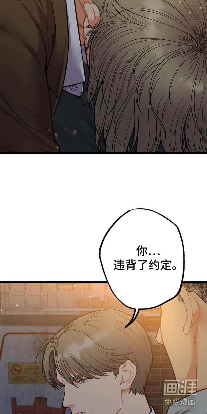 第14章：安全感