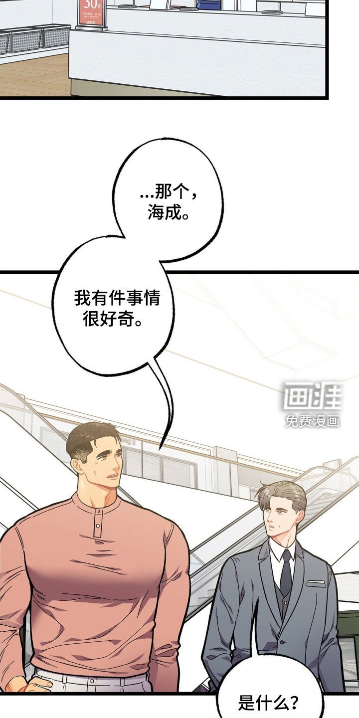 第19章：包场