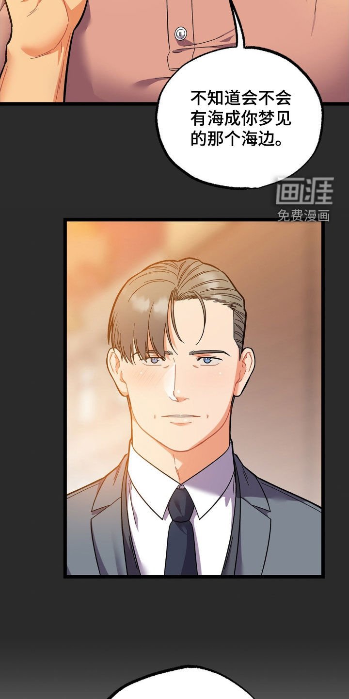 第21章：不再期待