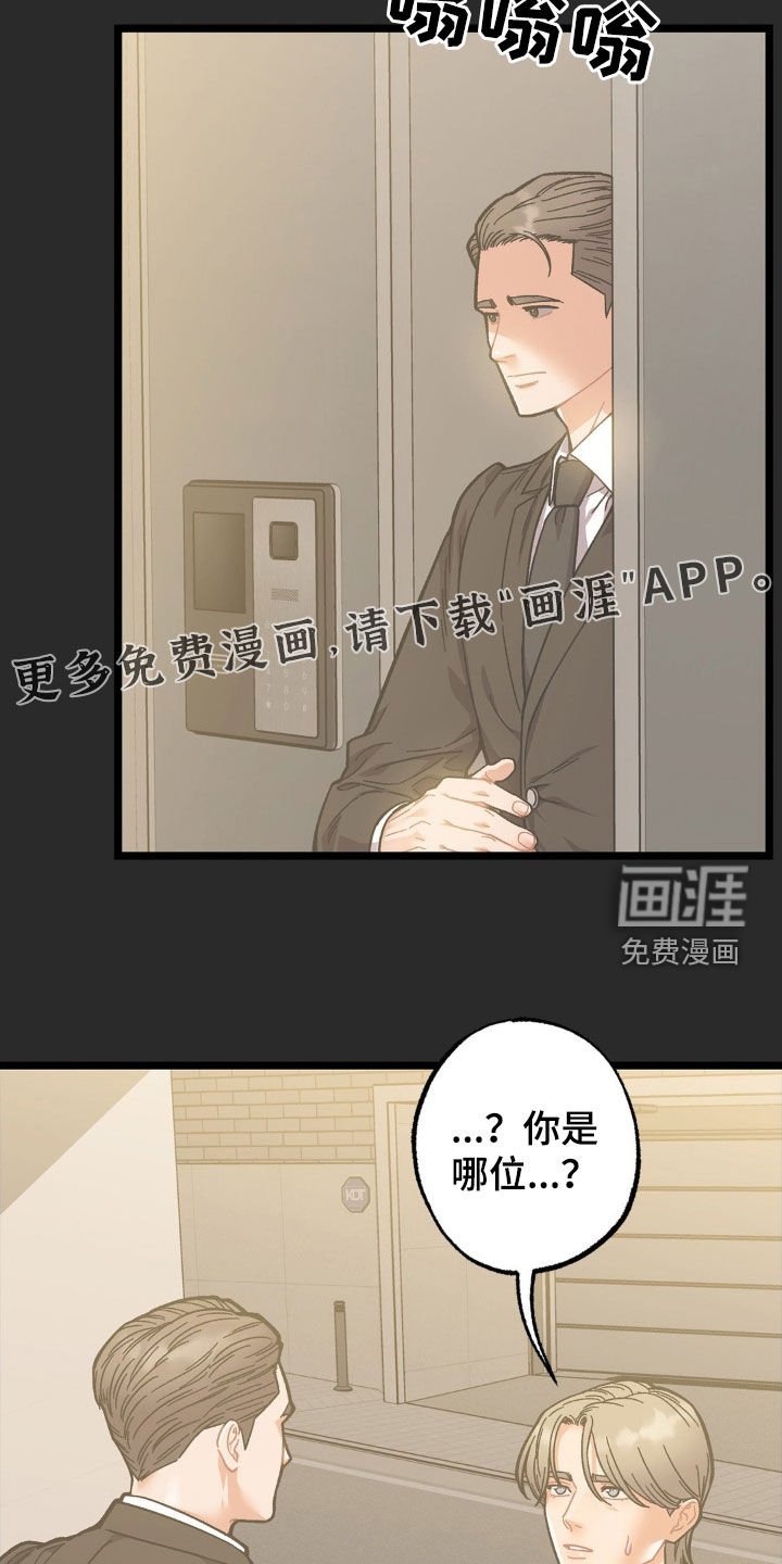 第36章：终生补偿