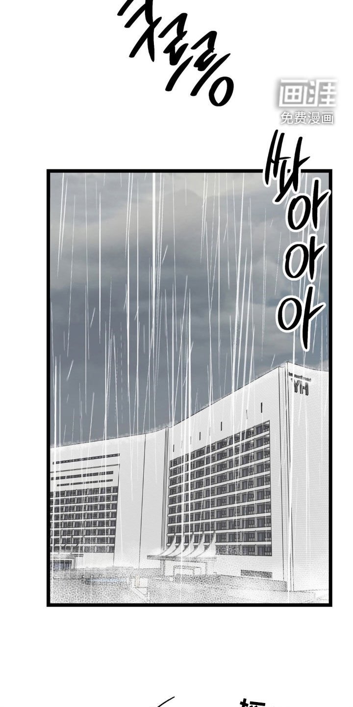 第37章：全都杀了