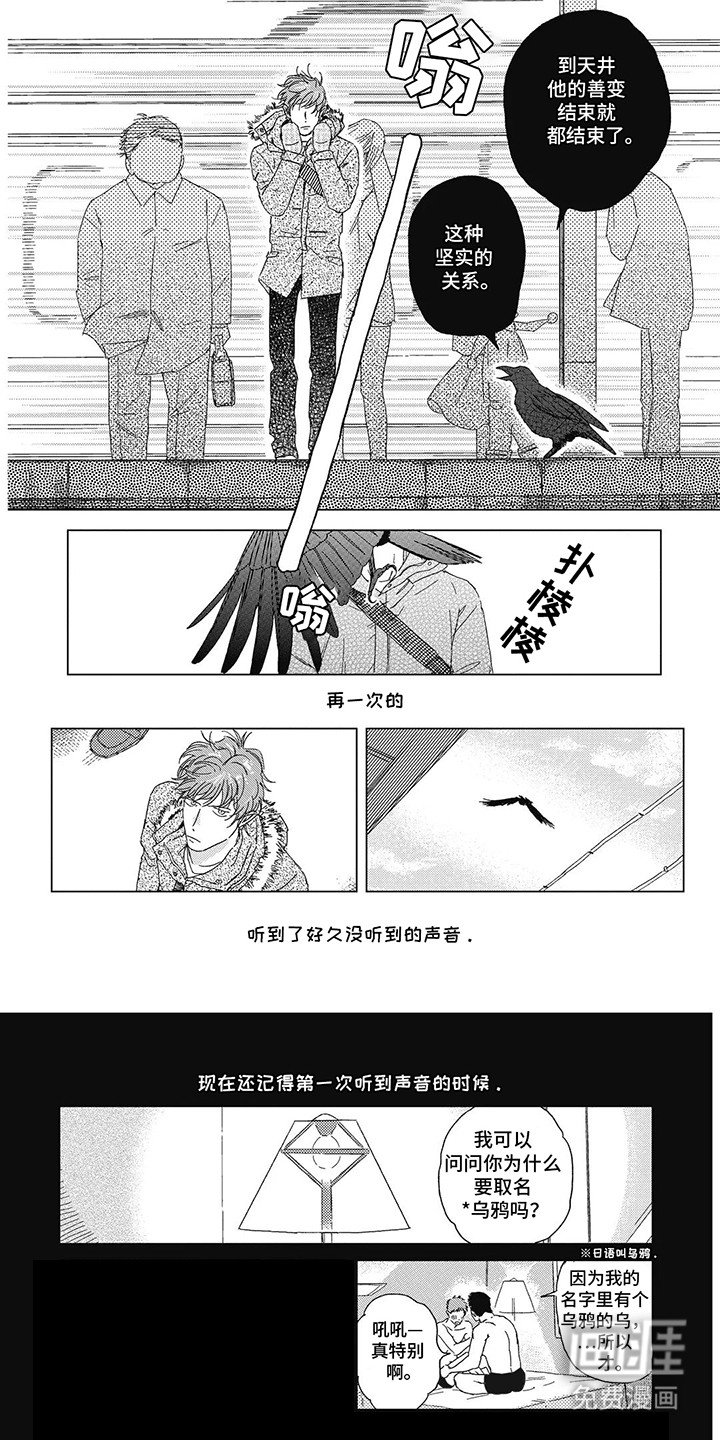 第7章：乌鸦