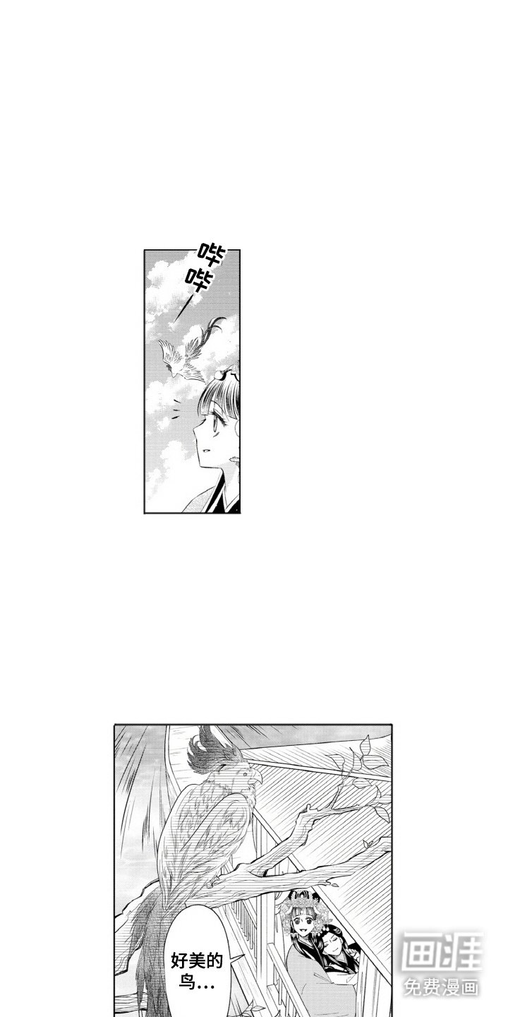 第11章：鹦鹉
