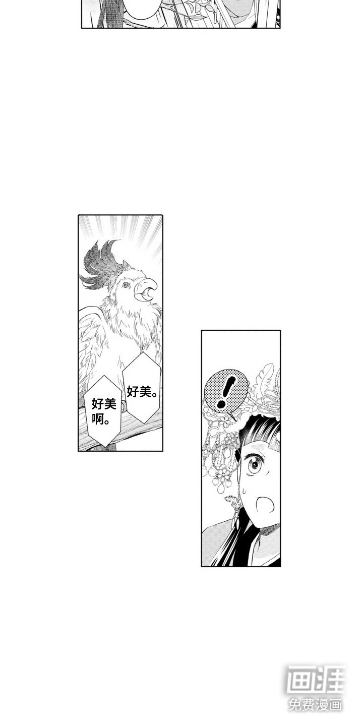 第11章：鹦鹉