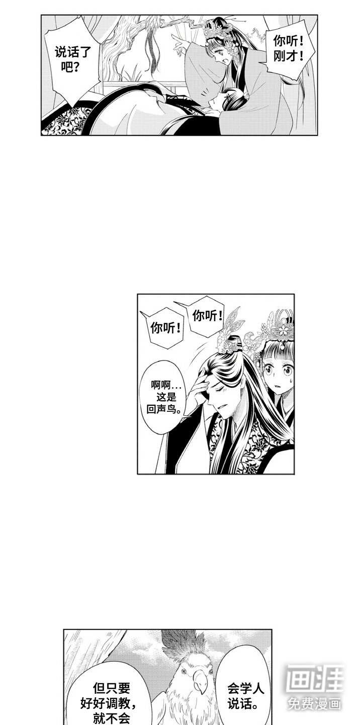 第11章：鹦鹉