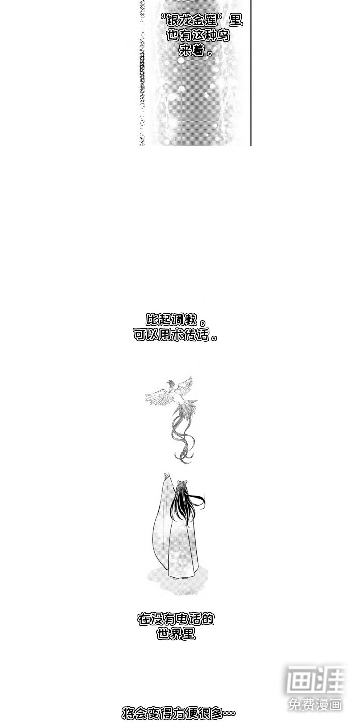 第11章：鹦鹉