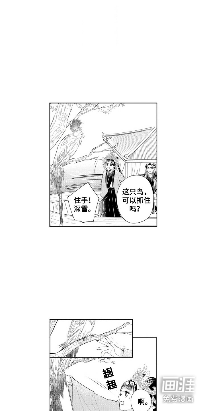 第11章：鹦鹉