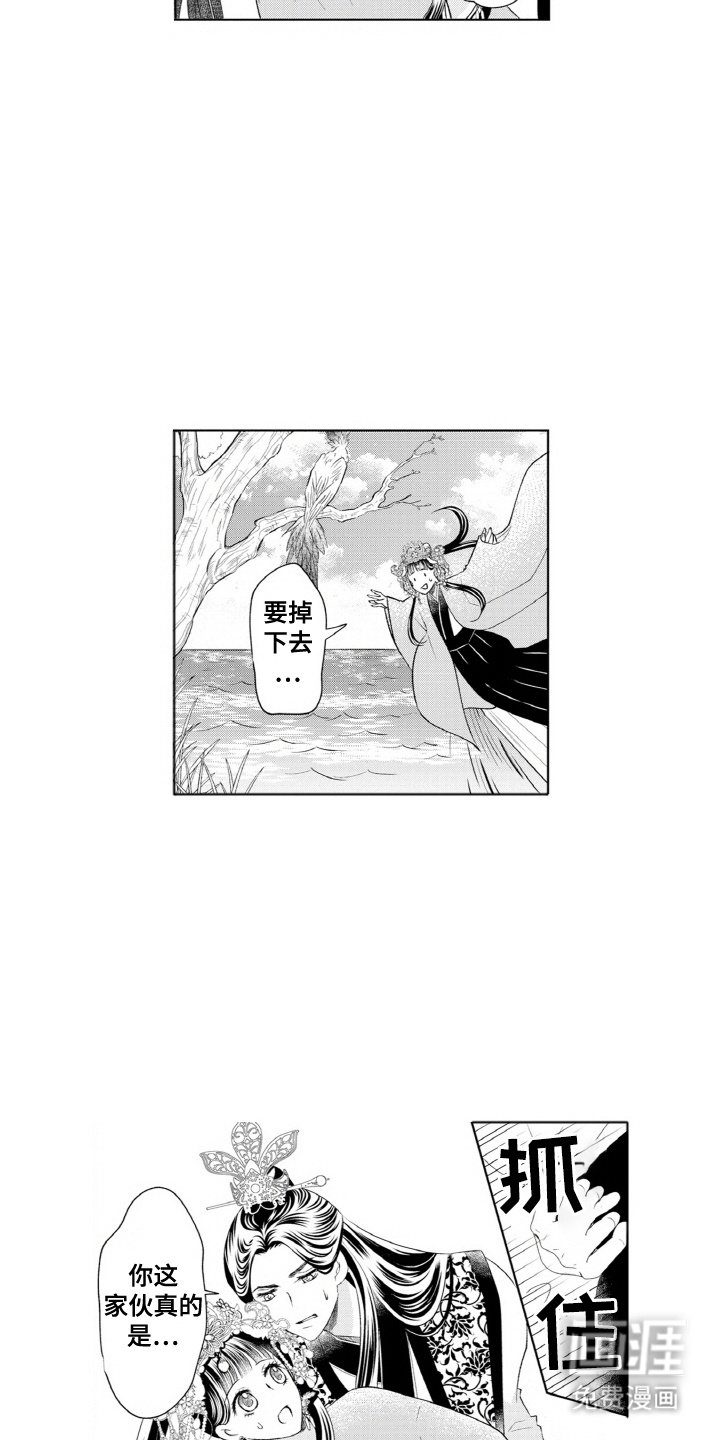 第11章：鹦鹉