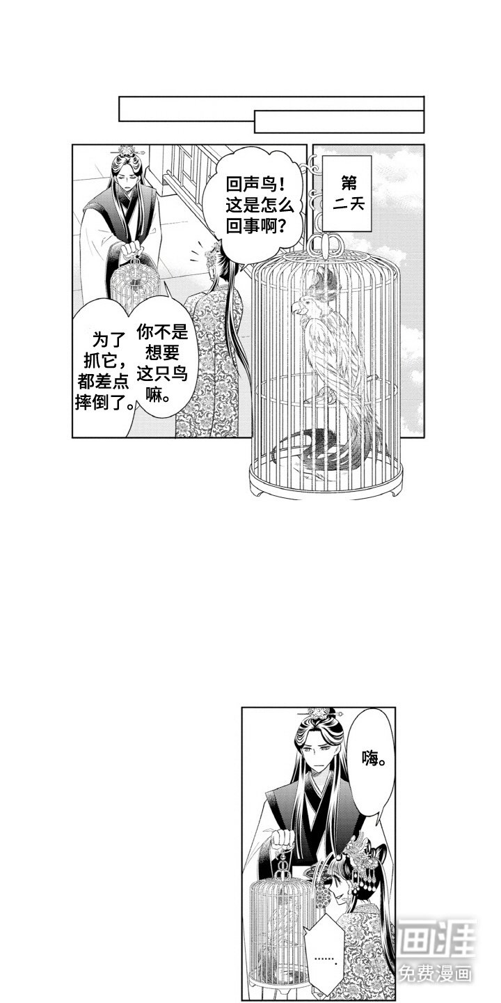 第11章：鹦鹉