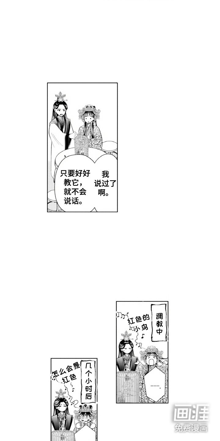 第11章：鹦鹉