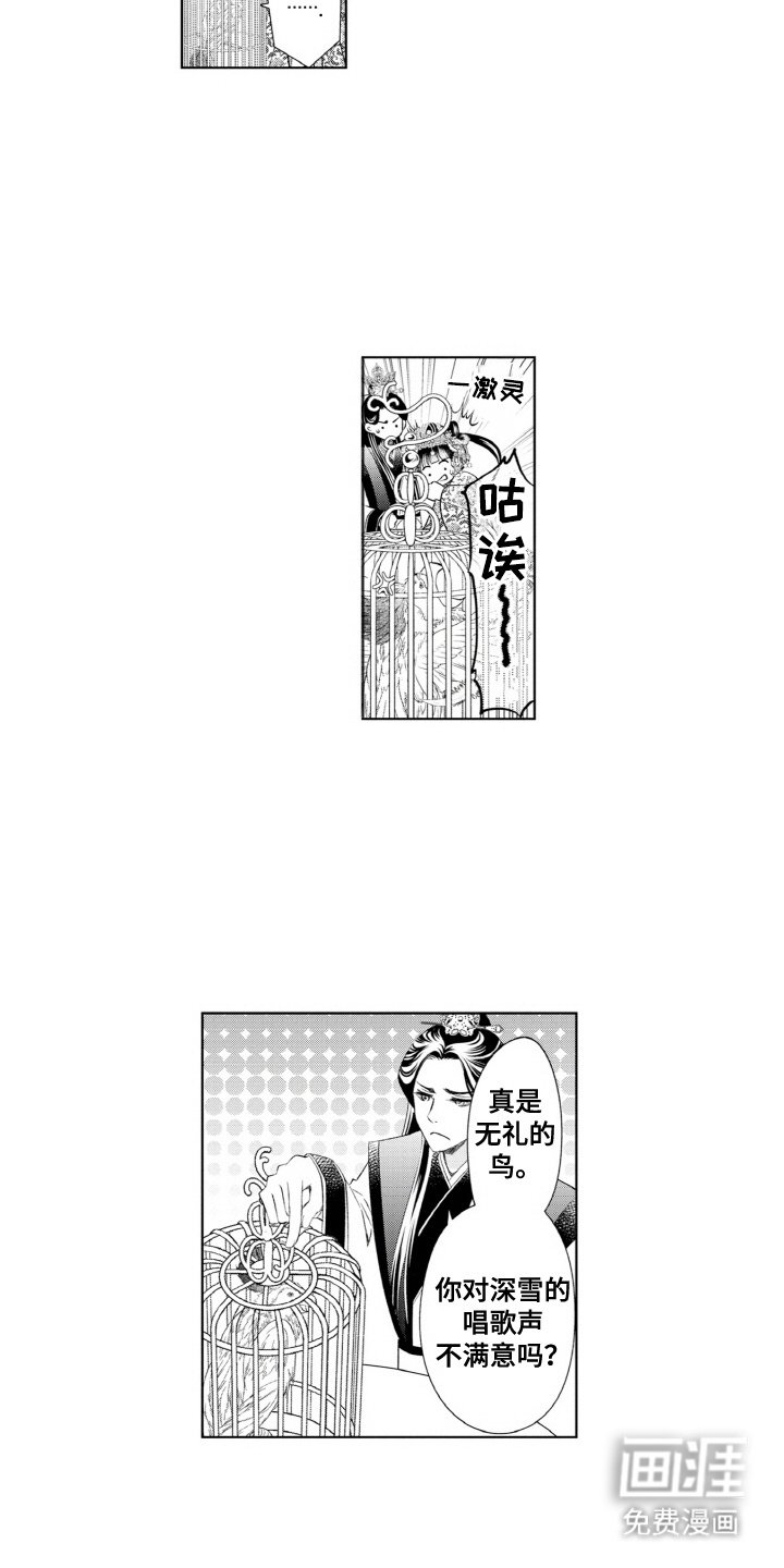 第11章：鹦鹉