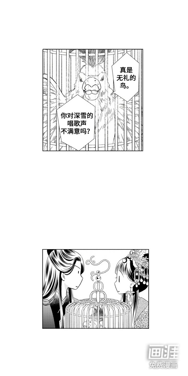 第11章：鹦鹉