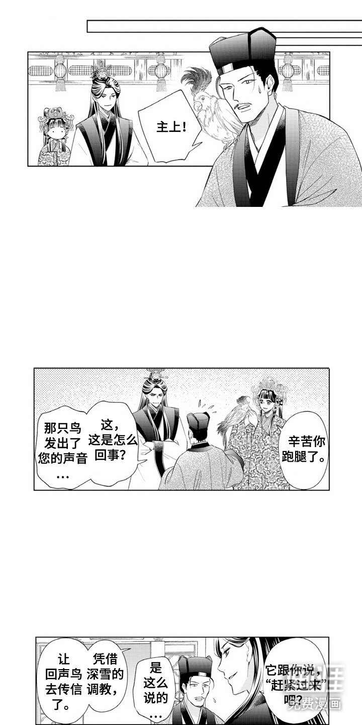 第12章：外出