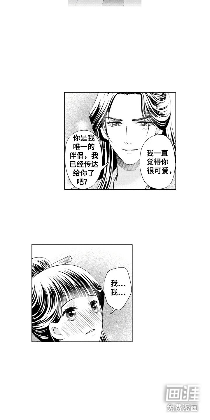 第15章：相同的心意