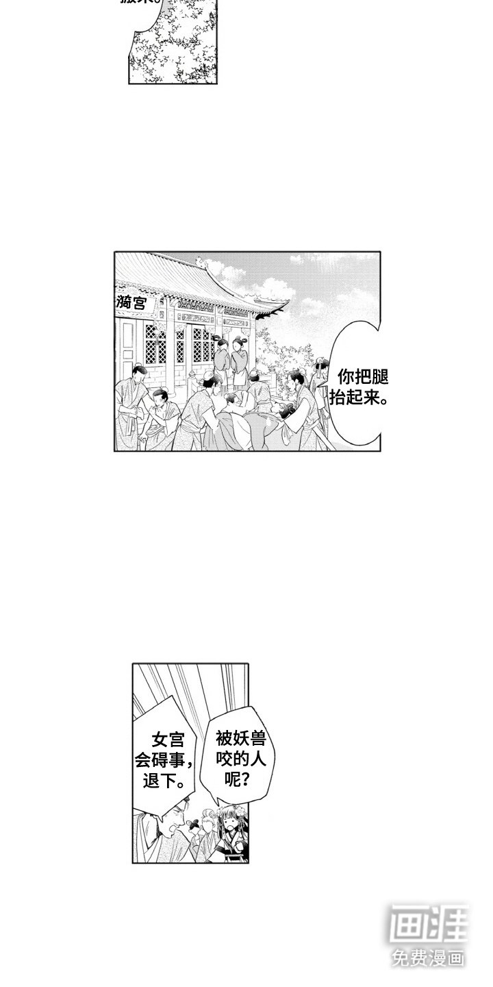 第4章：解毒药