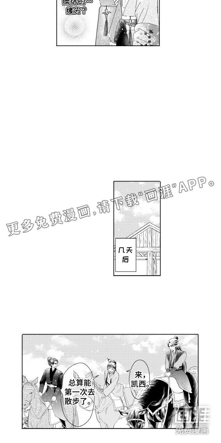 第8章：天马
