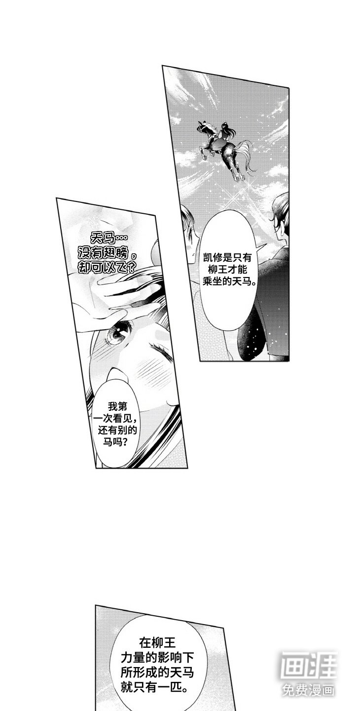 第8章：天马