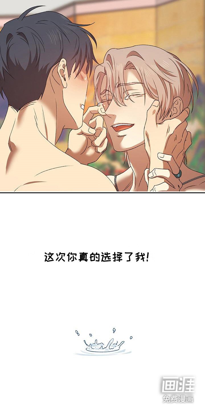 第15章：选择