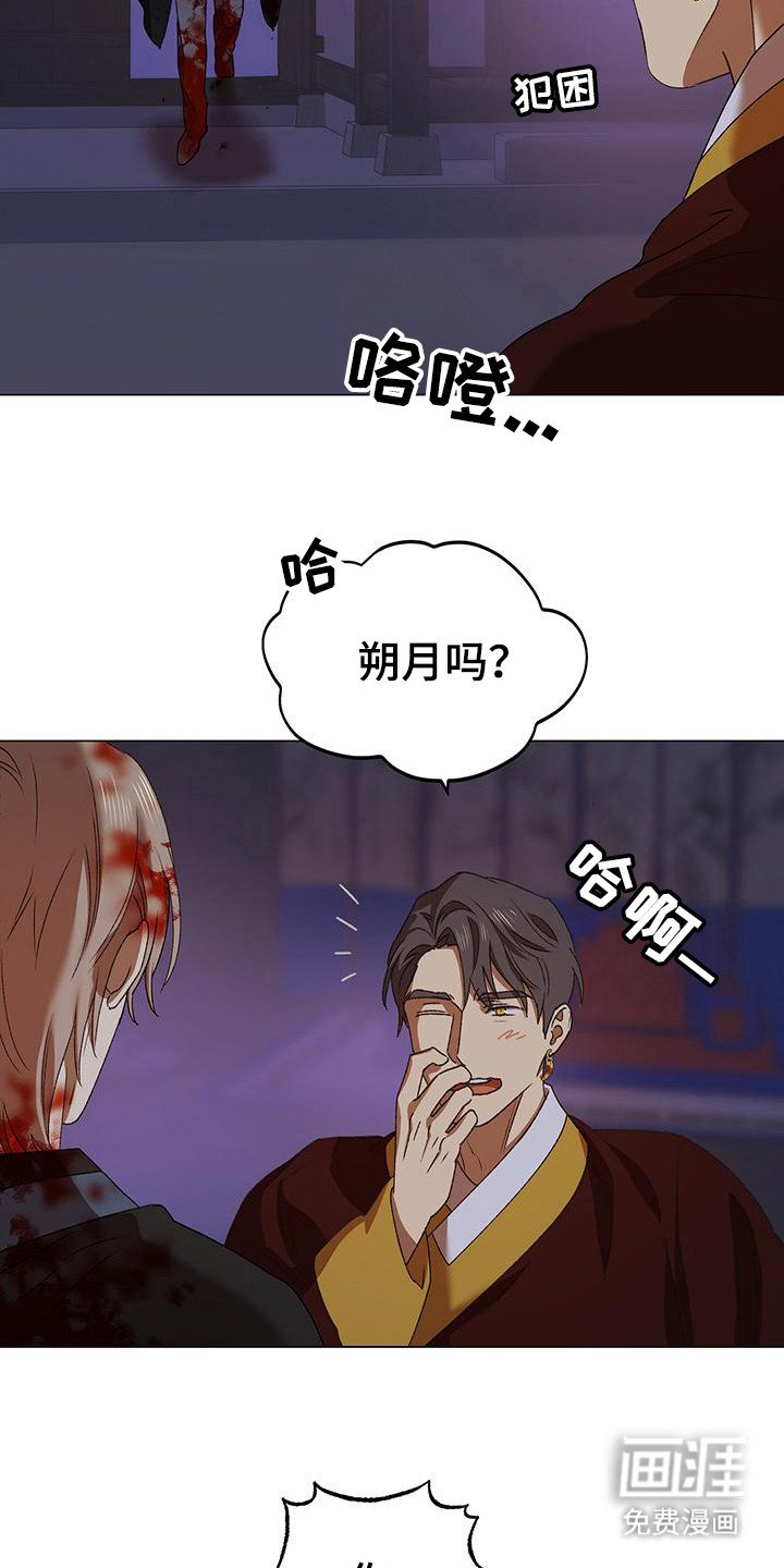 第15章：选择