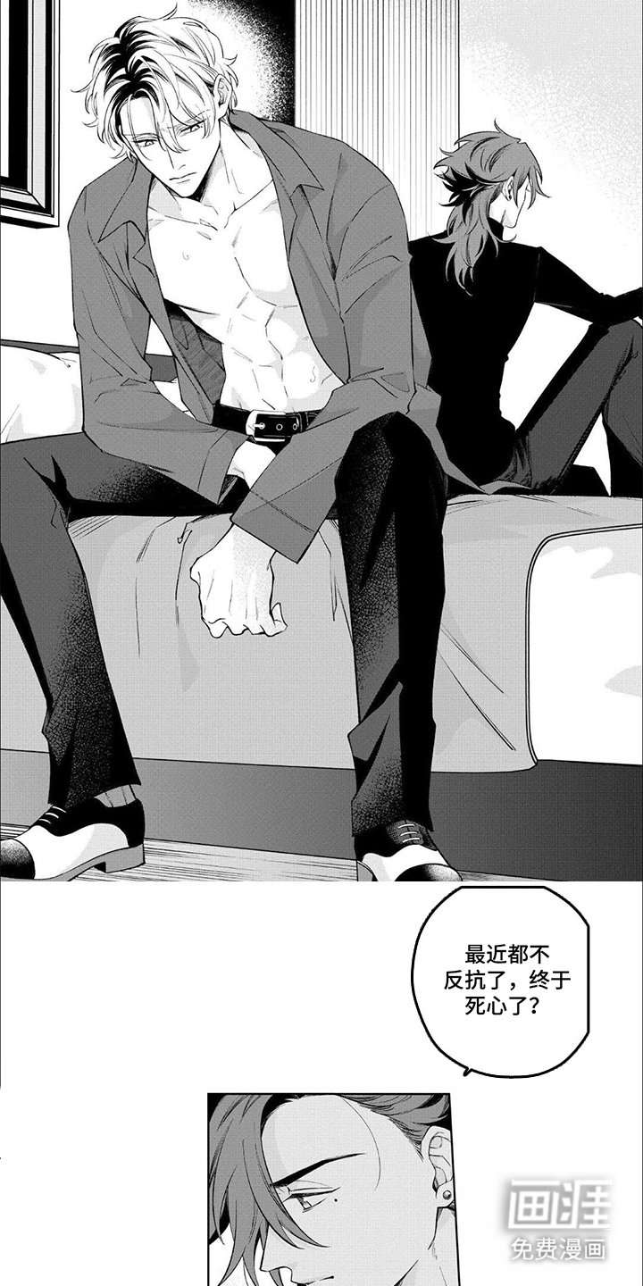 第9章：适应