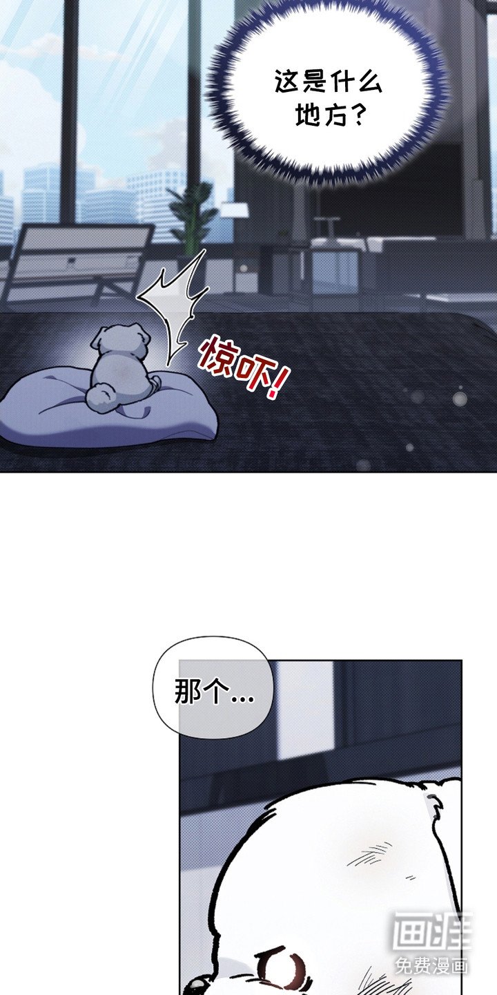 第10章：治疗