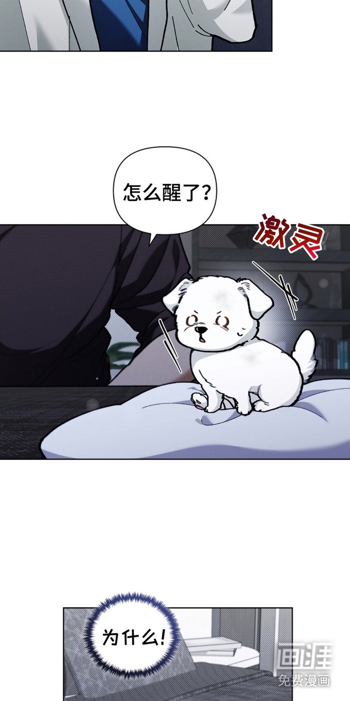 第10章：治疗