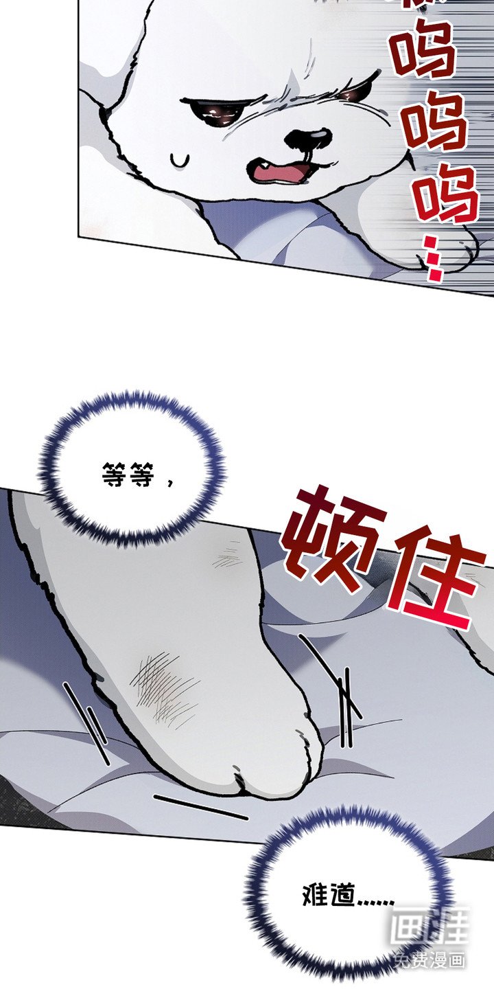 第10章：治疗