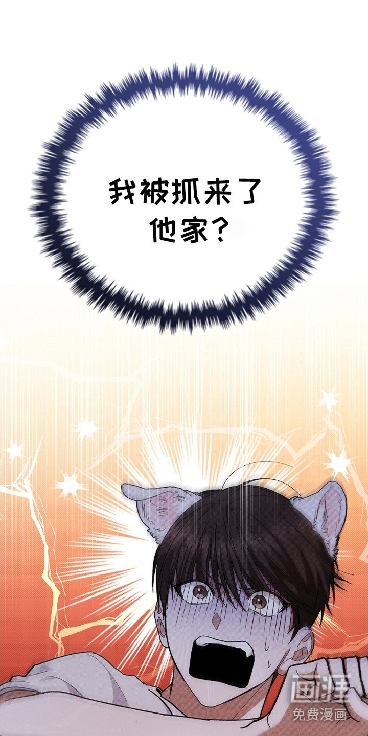 第10章：治疗