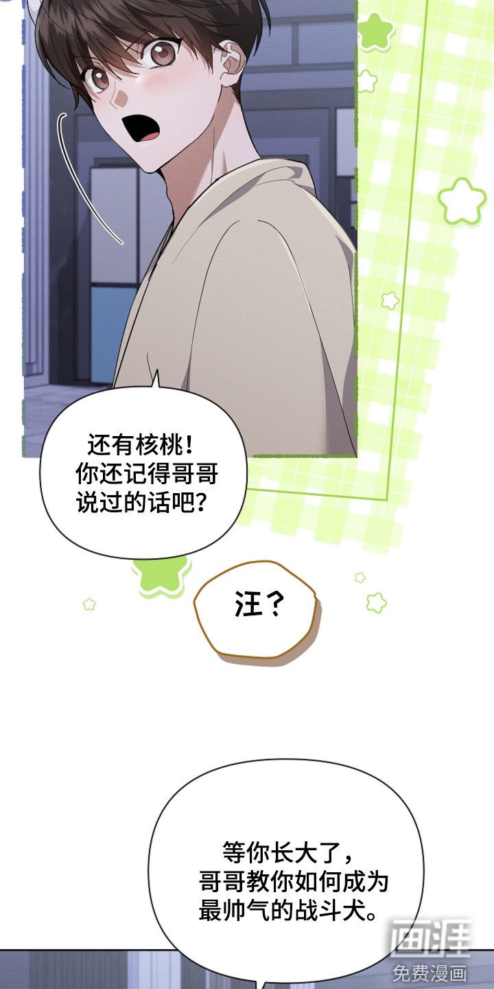 第100章：【番外】我自己看着办