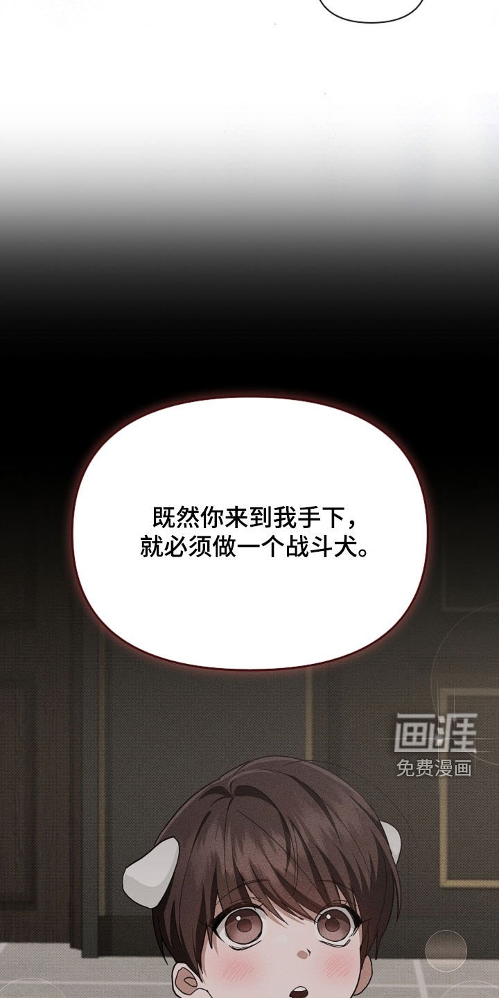第100章：【番外】我自己看着办