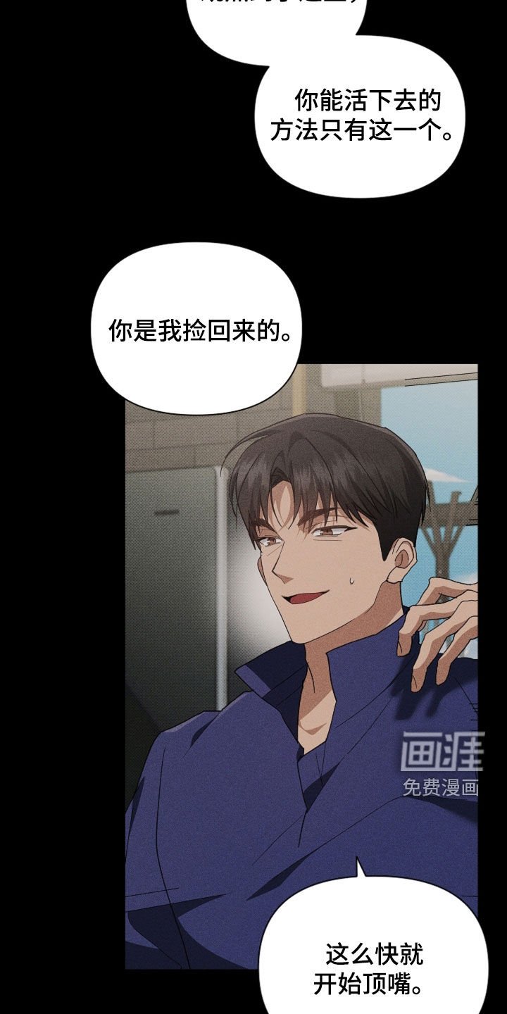 第100章：【番外】我自己看着办