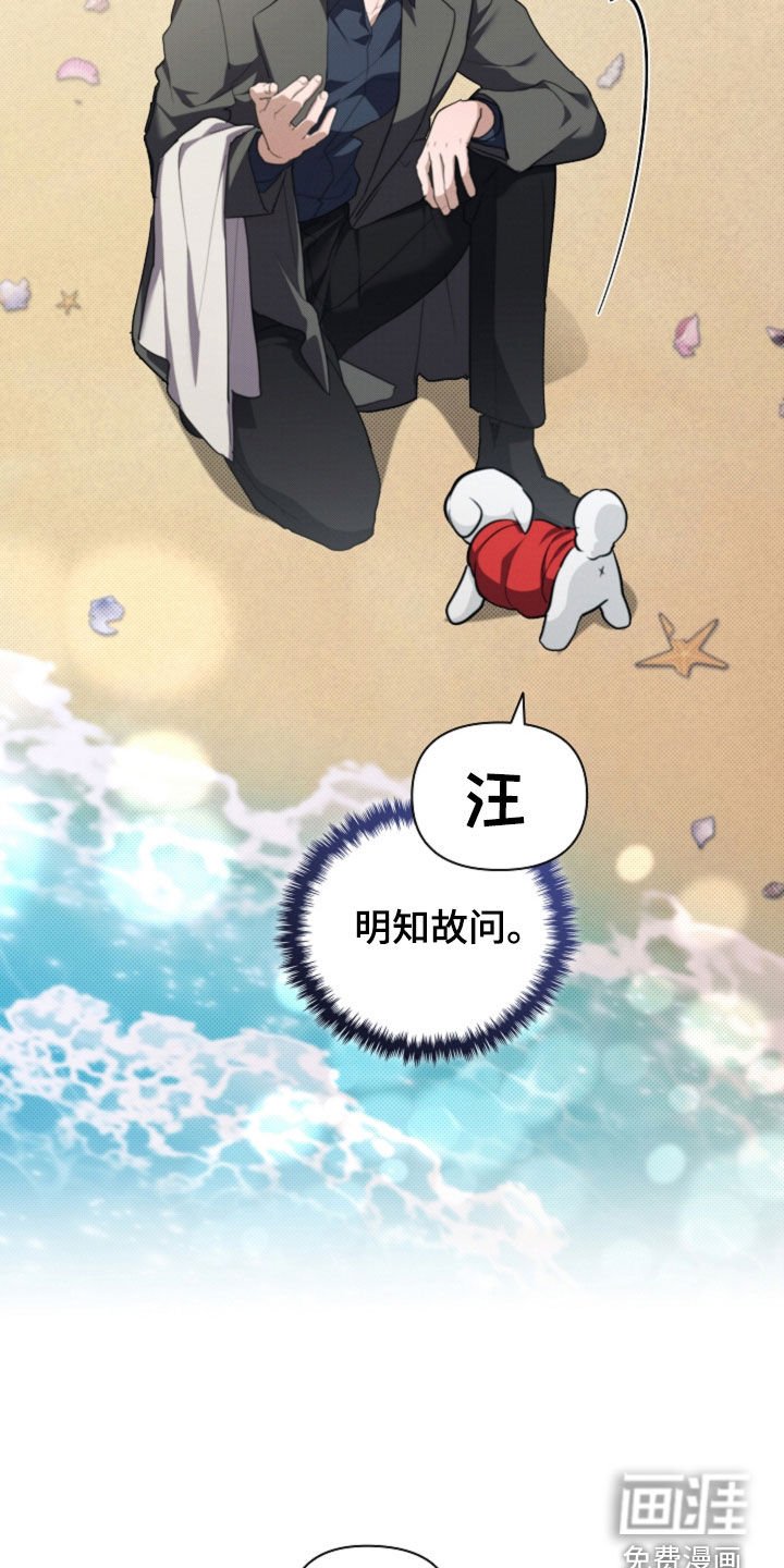 第104章：【番外完结】求婚