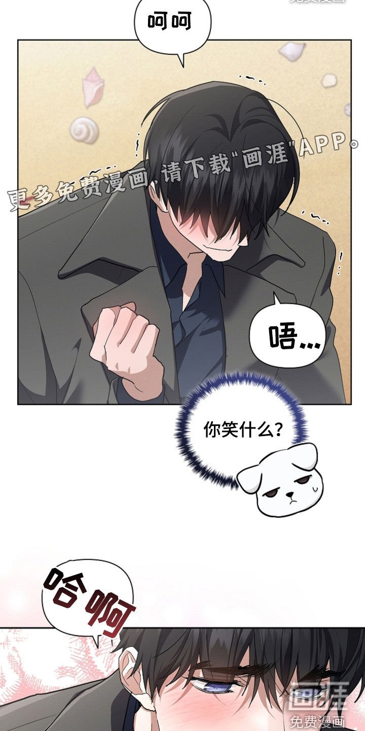 第104章：【番外完结】求婚