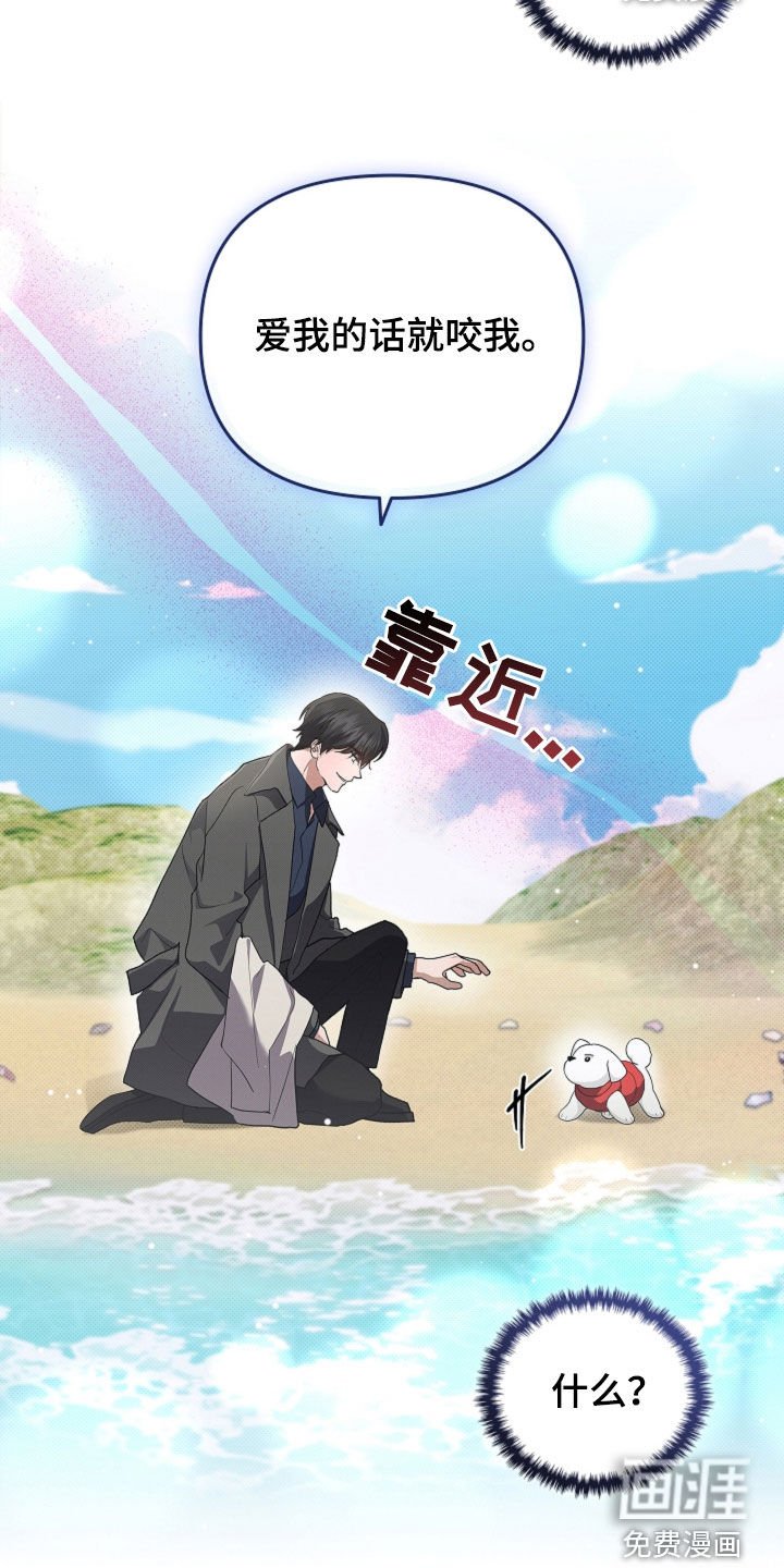 第104章：【番外完结】求婚