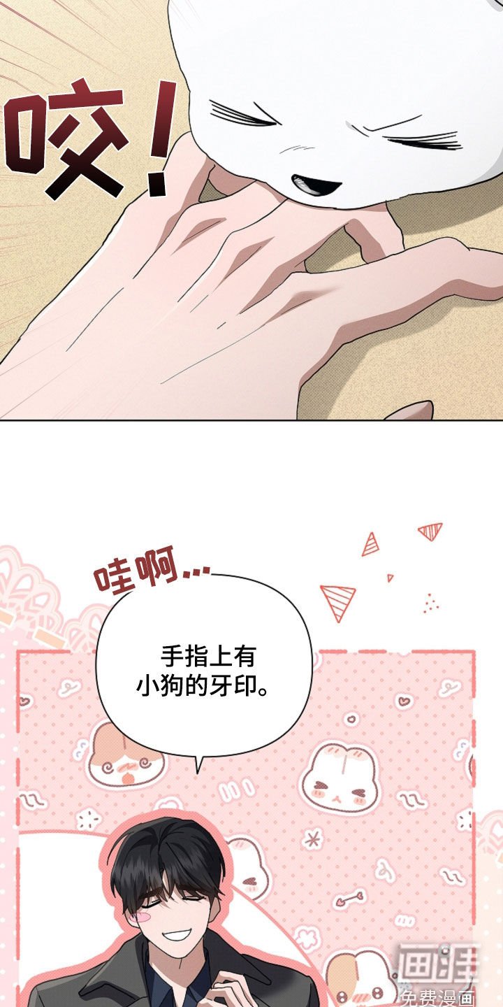 第104章：【番外完结】求婚