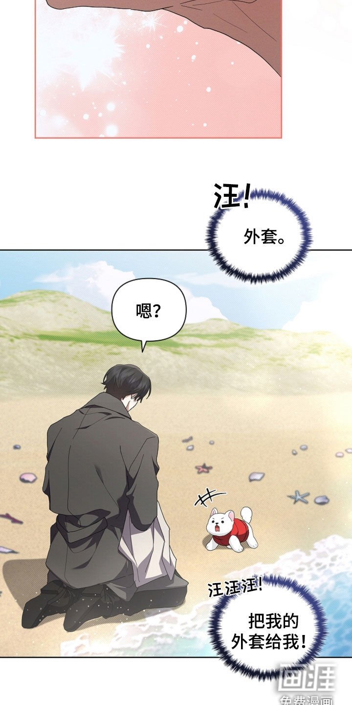 第104章：【番外完结】求婚