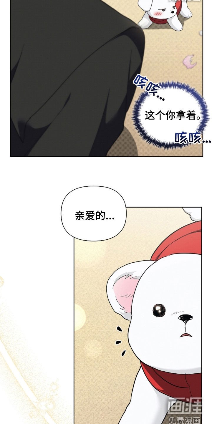 第104章：【番外完结】求婚