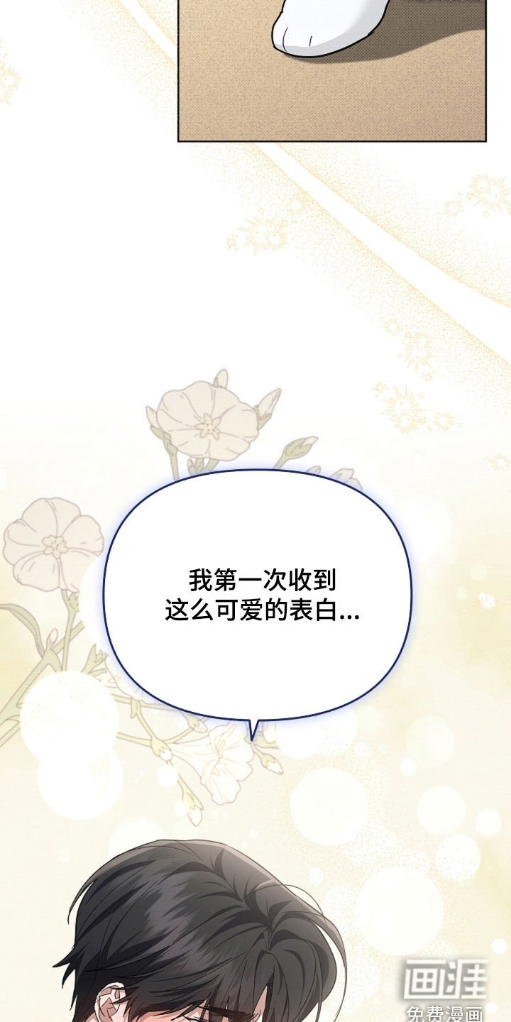 第104章：【番外完结】求婚