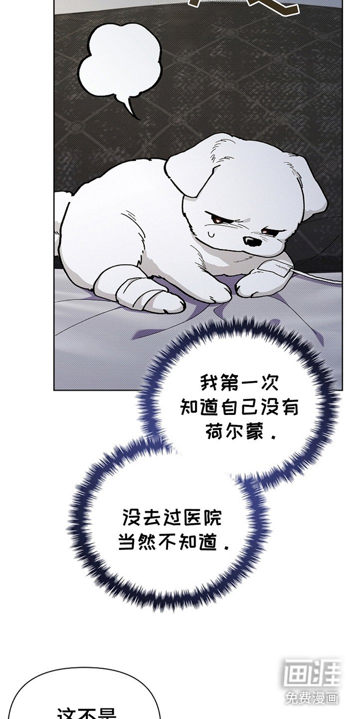 第11章：不能大意