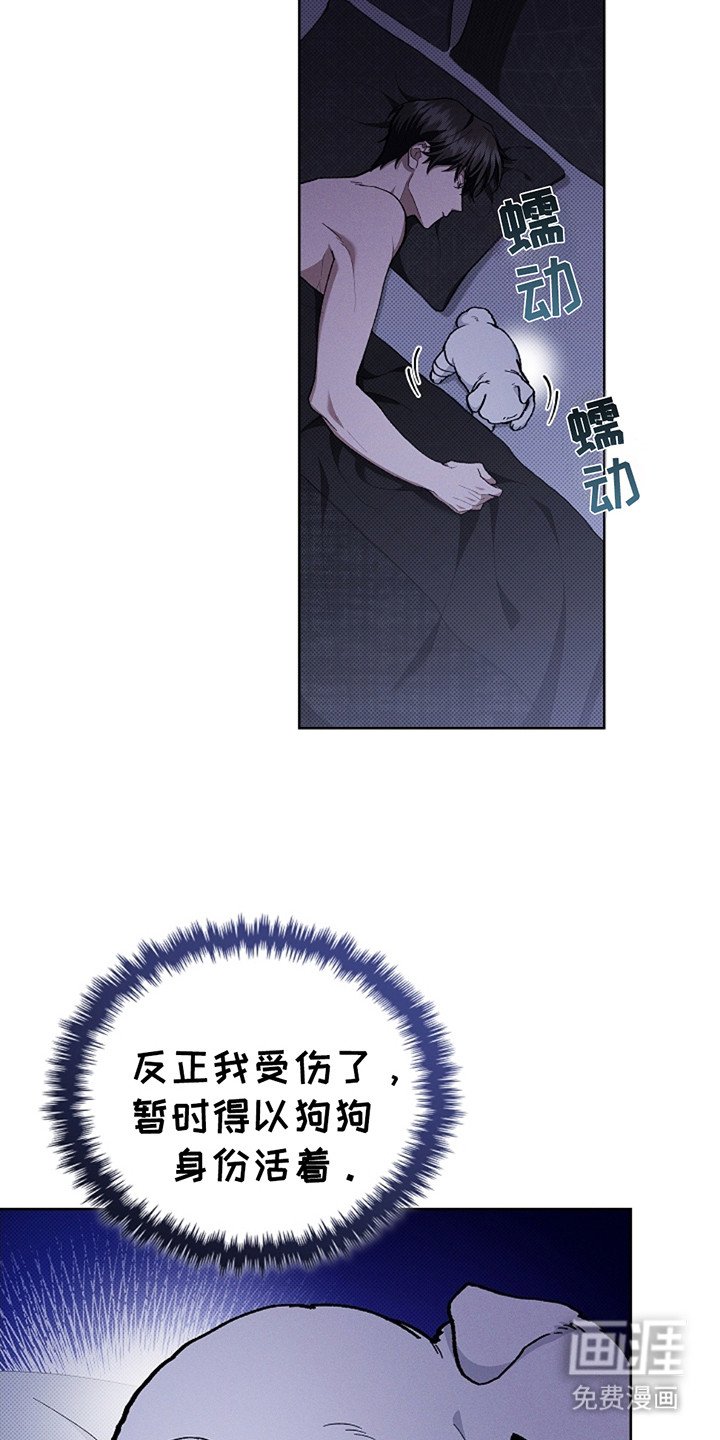 第11章：不能大意