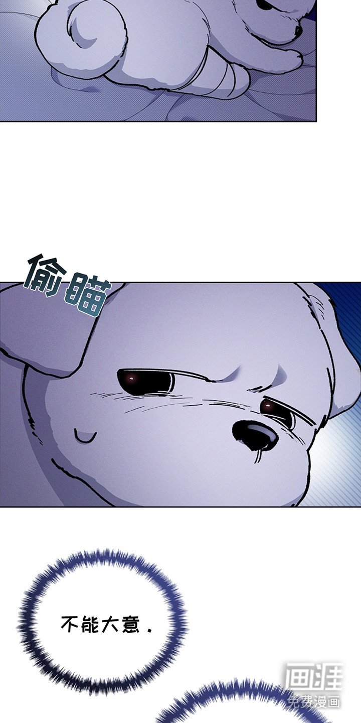 第11章：不能大意