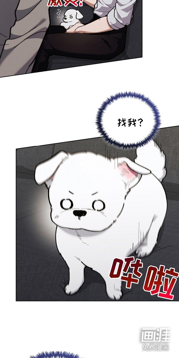 第13章：记仇