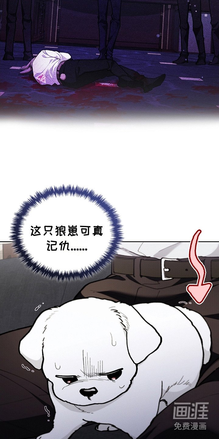 第13章：记仇